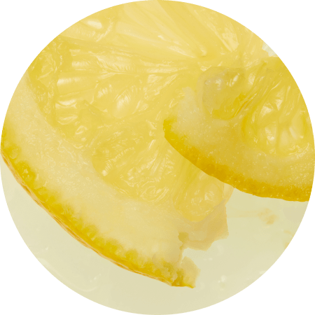 Circle image of Charged Lemon Protein